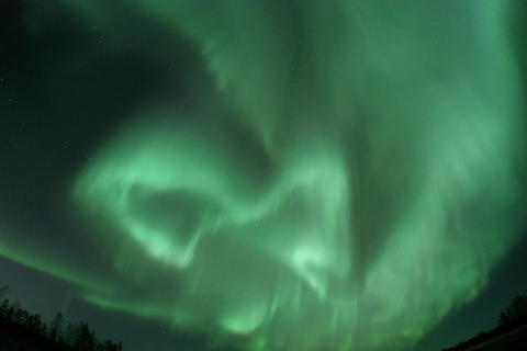 Levi: En busca de la aurora boreal en trineo con moto de nieveLevi: Búsqueda de auroras boreales en trineo de motos de nieve