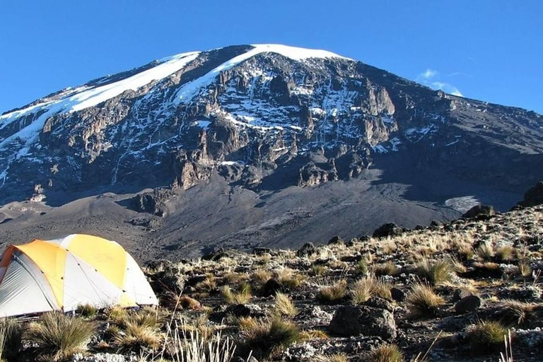 Beste Kilimanjaro dagwandeling - Machame Route - Zara Tours