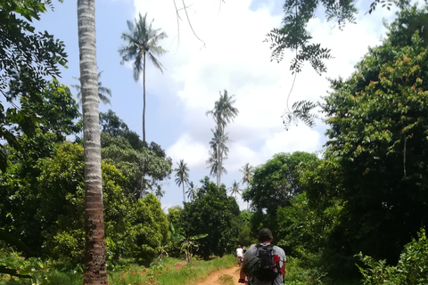 Spice Farm Bike Tour: Pedal Through Aromatic Adventures