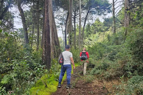 Caminhada ao Parque Arví, lagoa, mirante e metrô a cabo