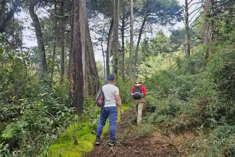 Hike to the Arví park, lagoon, viewpoint and metro cable.