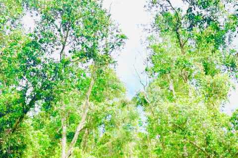 Partida da cidade de Ho Chi Minh: Mekong Dream 4D3N