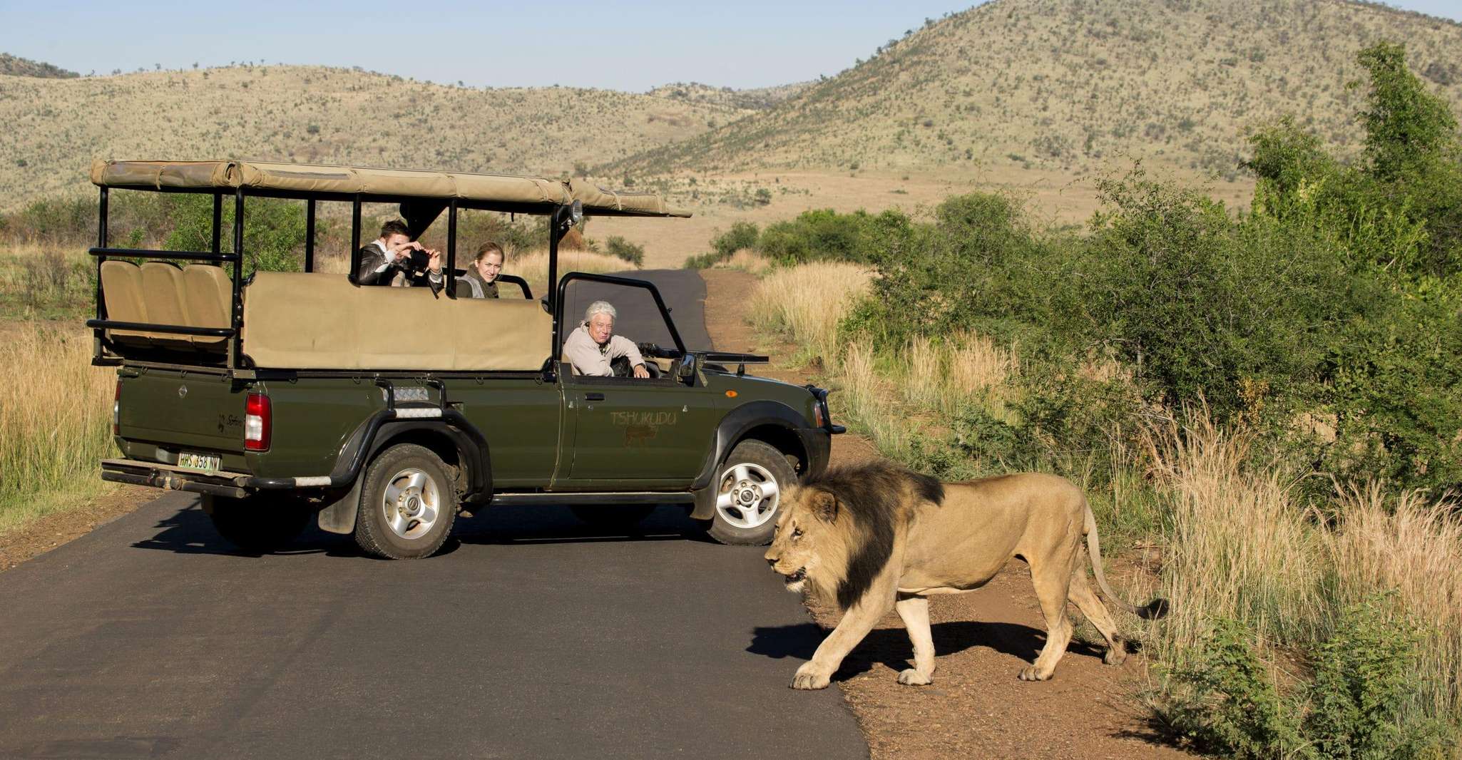 Suitetrails - 3-Hour Shared Game Drive in Pilanesberg National Park