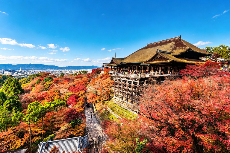 Osaka: Kiyomizu, Fushimi Inari, Nara & Gion Private Sightseeing Tours