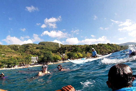 Cebú: avistamiento de tiburones ballena, cataratas Kawasan y snorkel