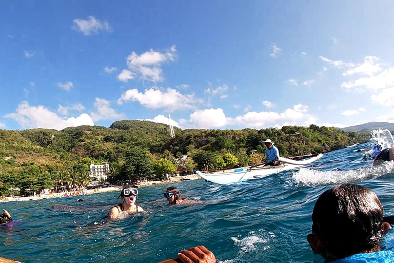 Cebu : Observation des requins-baleines, chutes de Kawasan et plongée en apnée