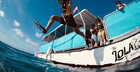 Waikiki: Snorkel Tour with Hawaiian Green Sea Turtles