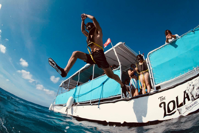 Waikiki: Wycieczka z rurką z hawajskimi zielonymi żółwiami morskimiWaikiki Snorkel Tour