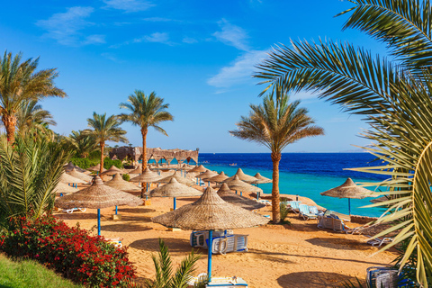 Cairo: 8-Day Egypt Highlights with Cruise, Flights & Balloon