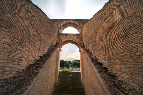 Rome: Colosseum, Roman Forum & Palatine Hill Tour Guided Tour in French