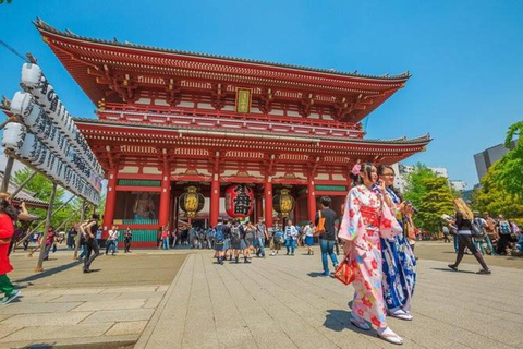 Tokyo: Tour privato di un giorno intero con autista che parla inglese