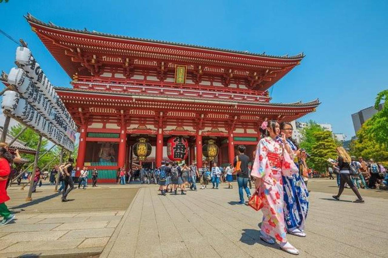 Tokio: Tour privado de día completo con conductor de habla inglesa