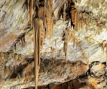 Da Lubiana: Gita guidata alle Grotte di Postumia e al Castello di Predjama