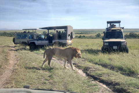 From Nairobi: National Park & Maasai Mara Safari Guided Tour