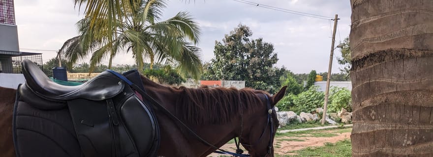 Bangalore : Safari à cheval