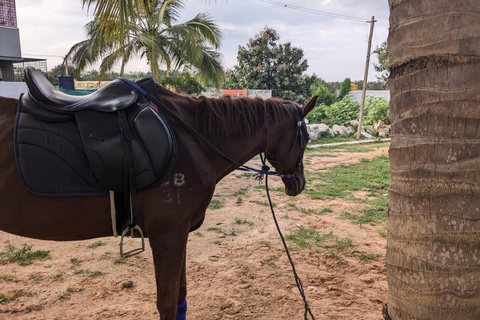 Bangalore: Reitsport-Safari mit Abholung vom Hotel