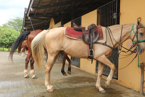 Reiten im Dschungel bei Panama City