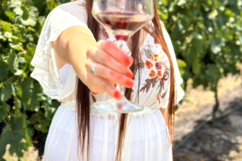 Besuch der Bodega FrippBESUCH DER BODEGA CERROS DE SAN JUAN