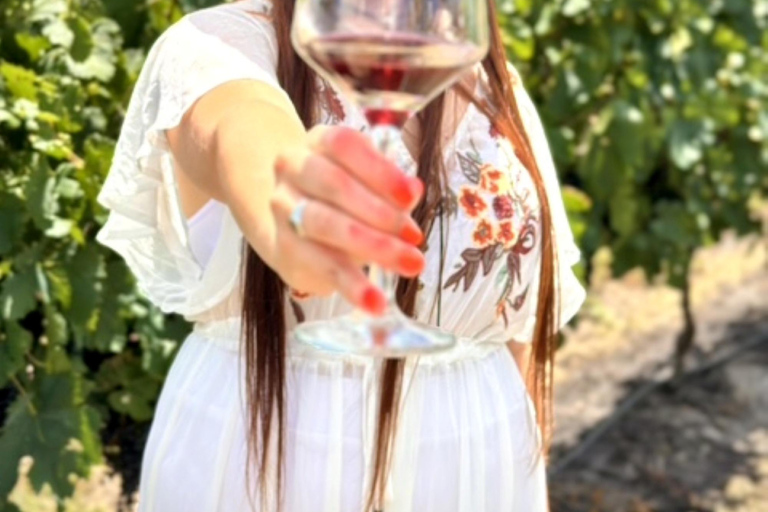 Besuch der Bodega FrippBESUCH DER BODEGA CERROS DE SAN JUAN