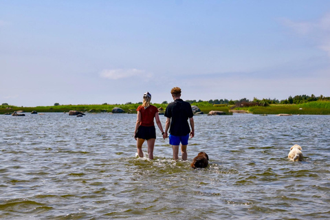 From Tallinn: Wild Swimming Trip with 4 Natural Waters