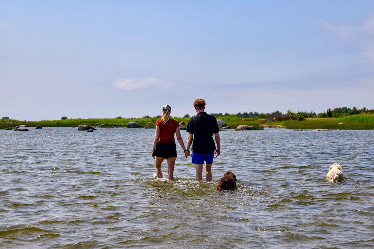From Tallinn: Wild Swimming Trip with 4 Natural Waters