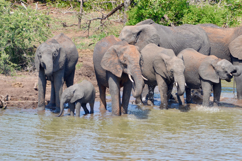 Alle inkl. 4 Tage Kruger Süd bis Zentral von Johannesburg