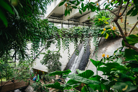 Potsdam: Biosphäre Potsdam Eintrittskarte