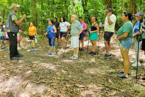 Trinidad: Experiencia en el Santuario de Aves del Centro Natural Asa Wright