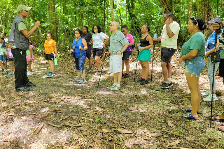 Trinidad: Experiencia en el Santuario de Aves del Centro Natural Asa Wright