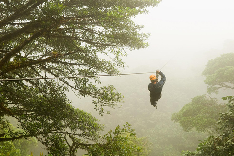 2 Day Nyungwe Canopy Walk and Zipline