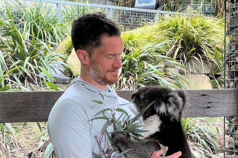 Vanuit Adelaide: Knuffel een Koala en historische Hahndorf Tour