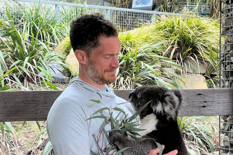 Vanuit Adelaide: Knuffel een Koala en historische Hahndorf Tour