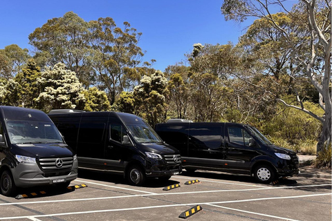 Blue Mountains Tour, Katoomba Falls & Cockatoos Small Group Blue Mountains ：Small Group + Cockatoos & Katoomba Falls&Ja