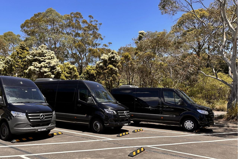 Blue Mountains Tour, Katoomba Falls & Cockatoos Small Group Blue Mountains ：Small Group + Cockatoos & Katoomba Falls&Ja