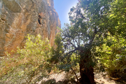 Creta: Tour guiado de senderismo por el Cañón de Kritsa