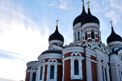 Luxury Day Trip to Tallinn with Lounge Access, Lavish Buffet