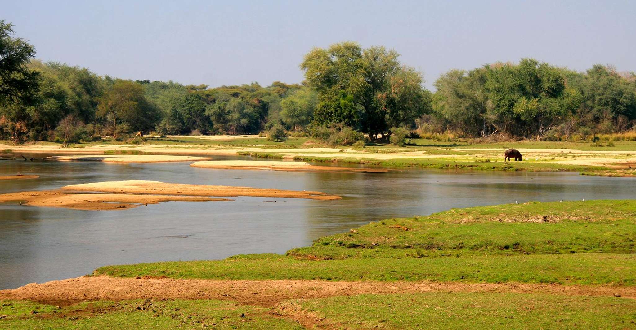 Game Drive - Housity