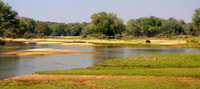 Game Drive - Housity