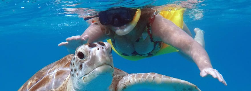 Barbade : Croisière Privée en Catamaran avec Snorkeling