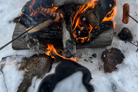 Levi: Excursión con raquetas de nieve y visita a una granja de renosPaseo con raquetas de nieve y visita a una granja de renos