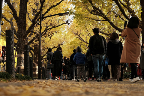 Tokyo: Golden Ginkgo Avenue Autumn Leaves Walk