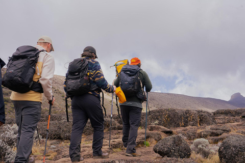 Moshi: Kilimanjaro Day Trip – Londorossi Gate hike to Shira