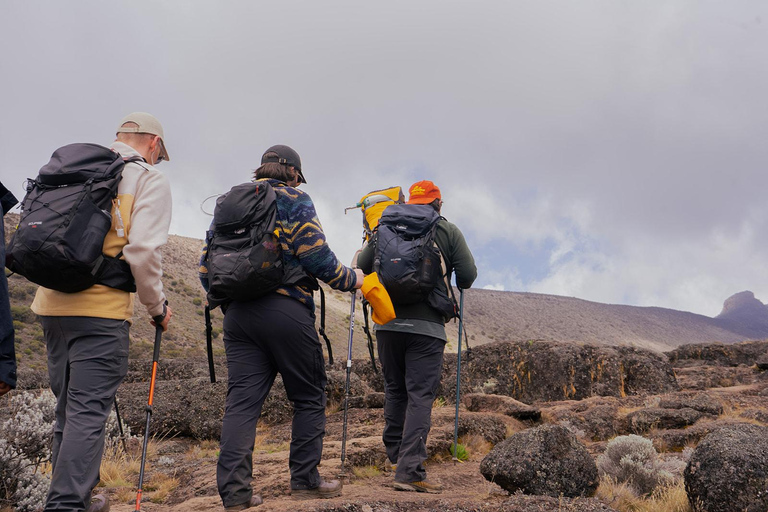 Moshi: Kilimanjaro Day Trip – Londorossi Gate hike to Shira