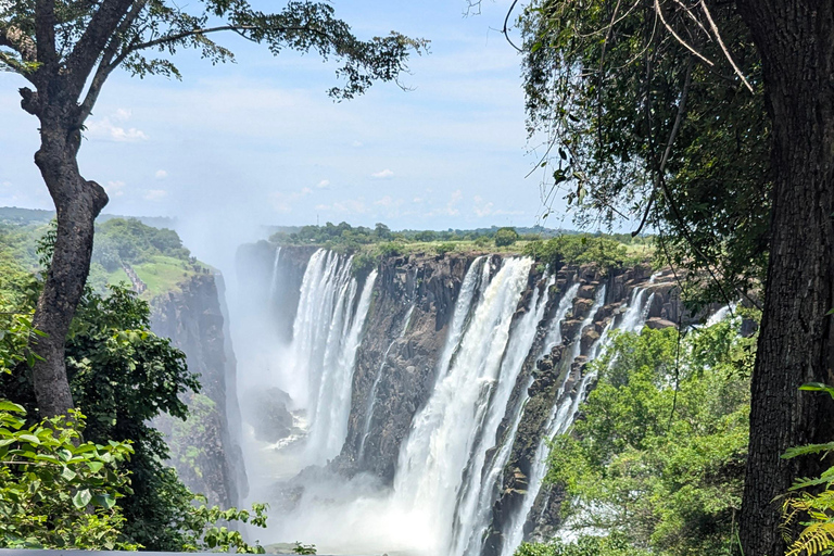 Victoria Falls Cross-Border Tour:Big Tree & Historic Bridge