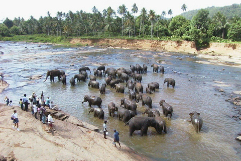 Vanuit Bentota: Kandy en Pinnawala Olifantenweeshuis TourKandy / Pinnawala rondreis vanuit Galle Hikkaduwa Mirissa Weligama