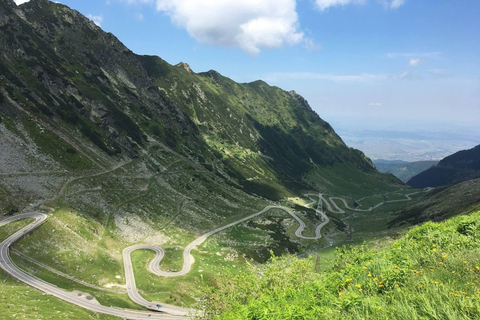 Transfagarasan Drive & Wild Bear Experience from Brasov