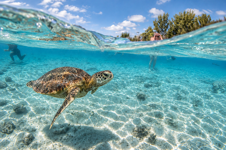 From Gili Air: Snorkelling Trip with Turtles, Statue & GoPro From Gili Air: Shared Snorkeling with Turtles, Statue &GoPro
