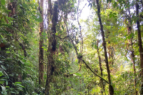 From Cali: Private VIP Motorcycle Adventure to San Cipriano, Pacific Jungle