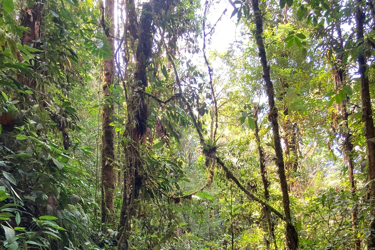 From Cali: Private VIP Motorcycle Adventure to San Cipriano, Pacific Jungle