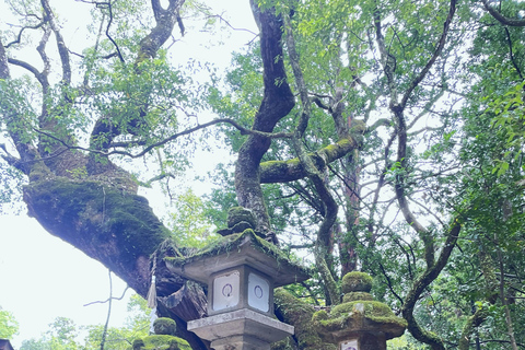 Nara: Autotocht met Hertenpark en Todai-ji Tempel